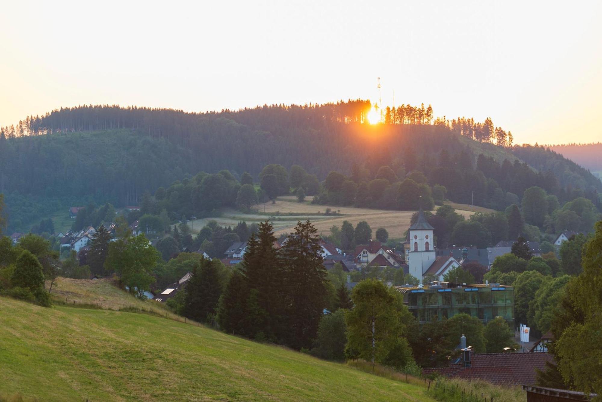 Ferienwohnung Waelderliebe Lenzkirch Exterior foto